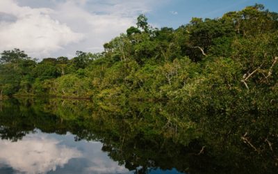 Amazônia hoje: ocupar não é desenvolver
