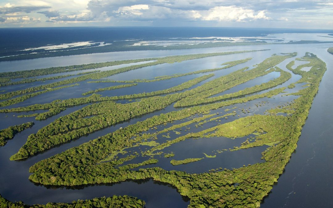 O mundo através das paisagens