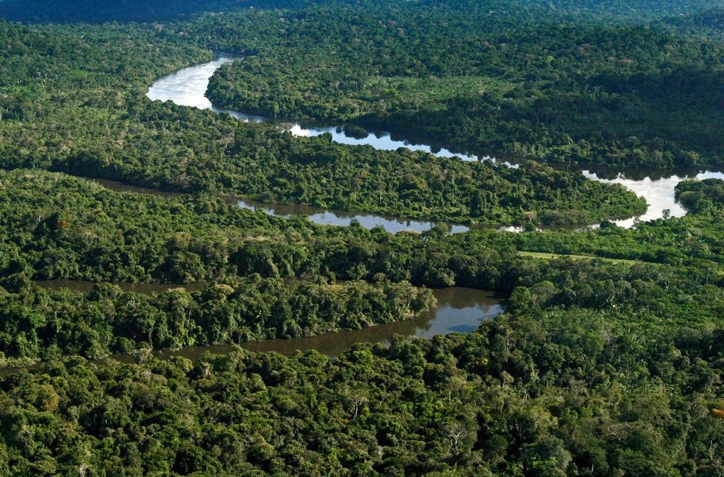 A Amazônia que nos une