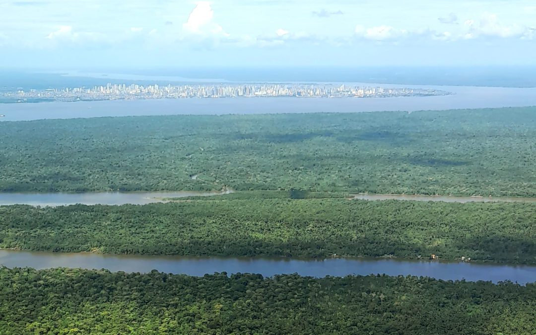 O valor da biodiversidade para a bioeconomia