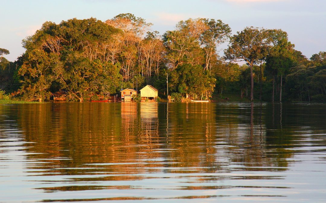 Rethinking the Brazilian Amazon