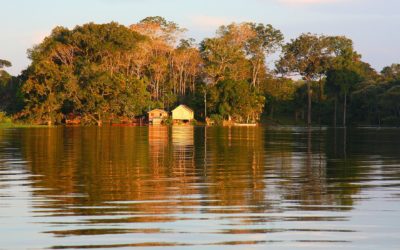 Rethinking the Brazilian Amazon