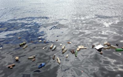 Como evitar que os plásticos cheguem aos oceanos