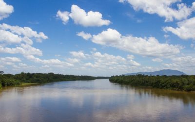 Encontros no BNDES discutem os desafios da Amazônia