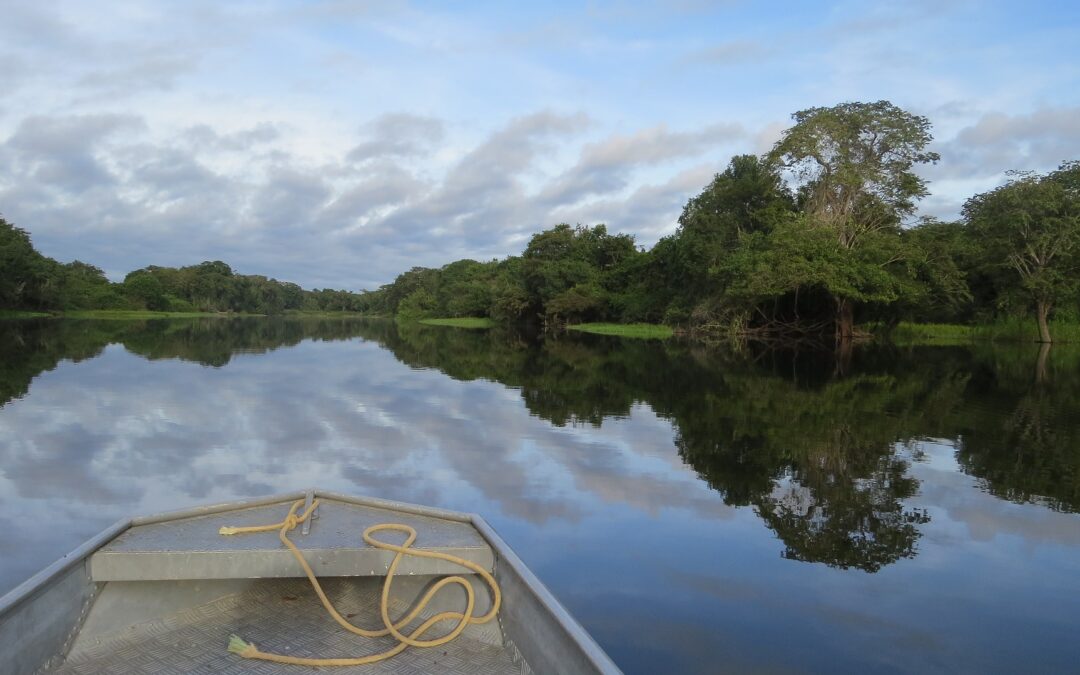 Cúpula da Amazônia: por uma abordagem integrada de desenvolvimento