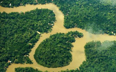 ‘Amazônia não é algo isolado, é 60% do território nacional’