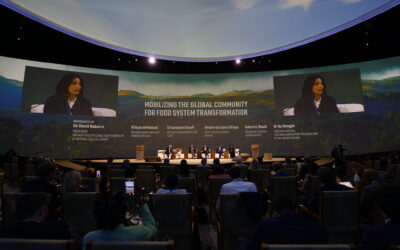 Brazil has a unique opportunity to drive transformation of food systems