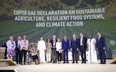 COP 28: o papel da filantropia na transformação de sistemas alimentares