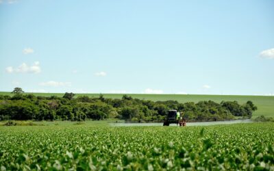 O agronegócio, o capital natural e as regras do jogo climático