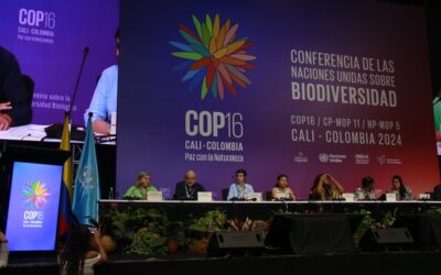 COP 16: De Macondo a Cali, a restauração da vida