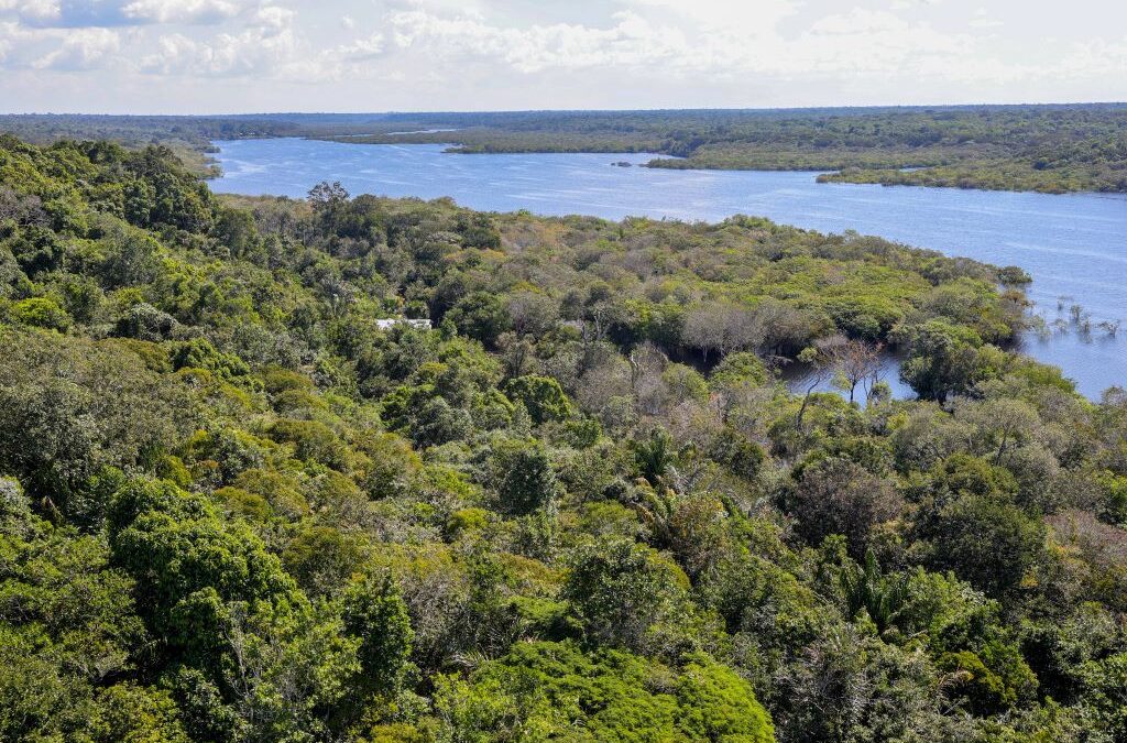 Protagonismo empresarial na agenda climática: o papel da governança