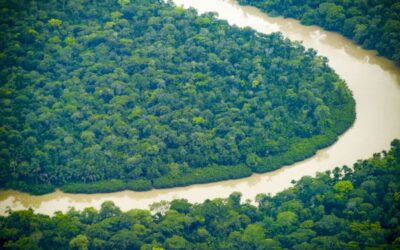 As afinidades climáticas eletivas