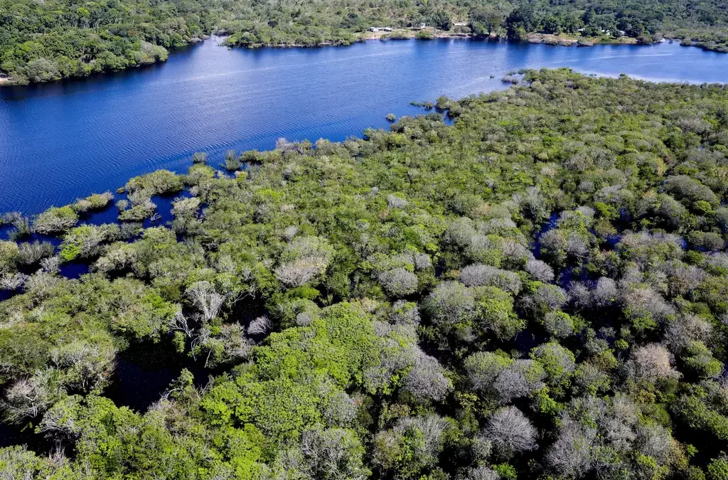 Capital natural como uma classe de ativos