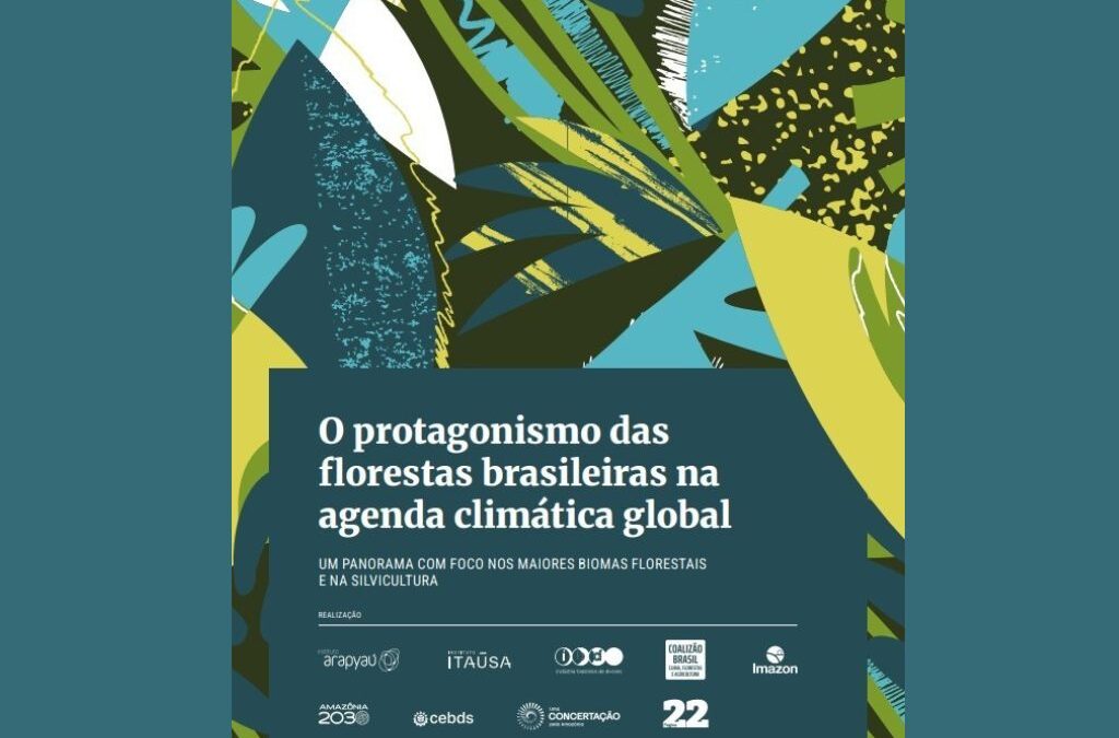 O protagonismo das florestas brasileiras na agenda climática global