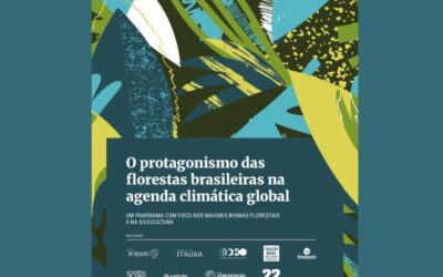 O protagonismo das florestas brasileiras na agenda climática global
