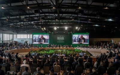 Que a COP 30 ajude o mundo a falar cada vez menos de COPs e cada vez mais de soluções concretas