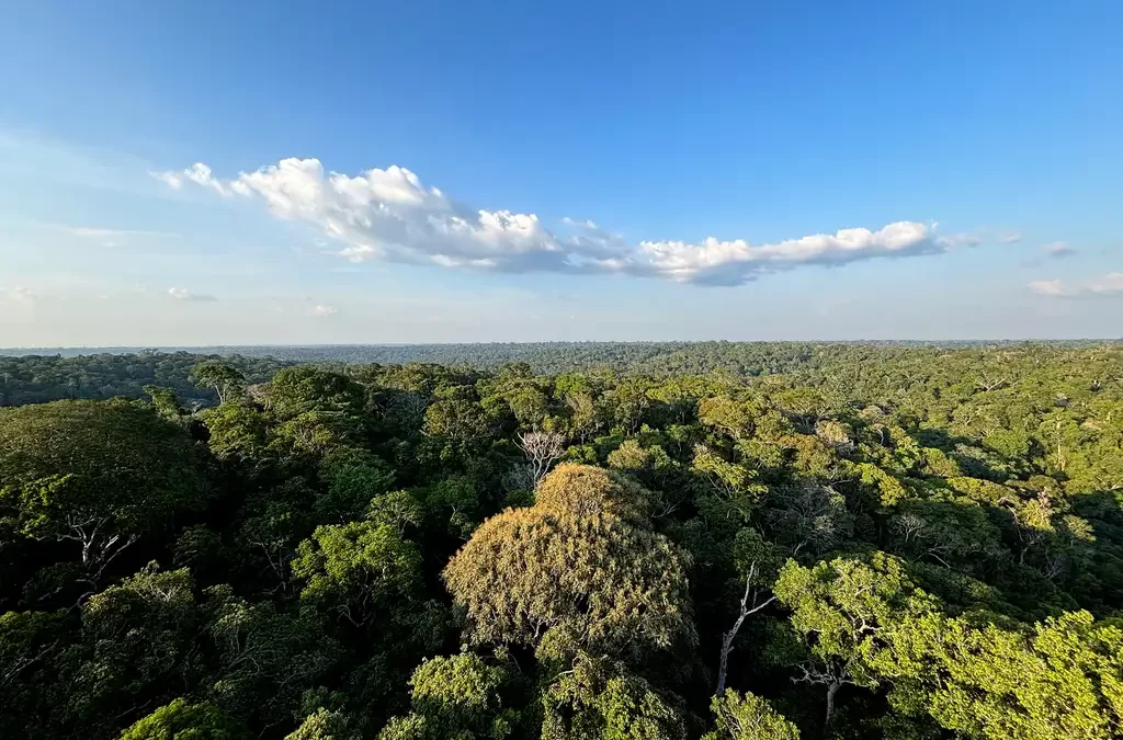 Transições climáticas e de recursos naturais: a urgência do presente na formatação do futuro