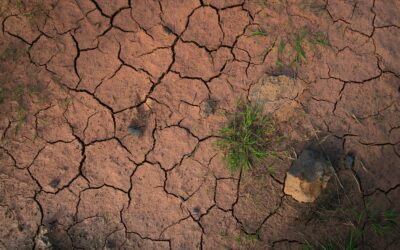 Reflexões sobre governança, clima e incertezas