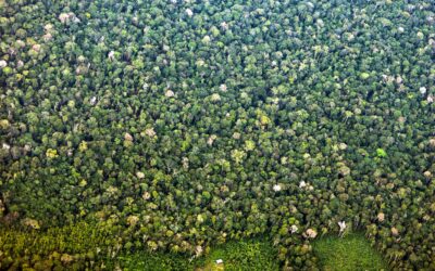 Há uma janela histórica no mercado global de carbono; e o Brasil tem de aproveitá-la
