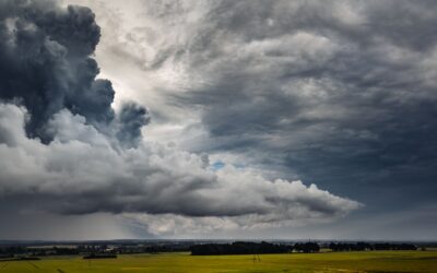 Economia, mudanças climáticas e amígdala